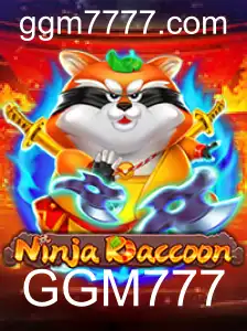 Explorando o Universo de NinjaRaccoon